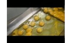 Stainless Steel Industrial Egg Breaking Machine, Egg Breaking Machine Video