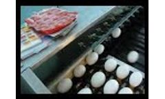 Best Sale 5400pcsh High Quality Automatic Chicken Egg Grading Machine Video