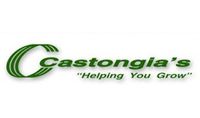 Castongia`s, Inc.