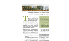 Damage Assessment, Remediation And Restoration Program (DARRP) Factsheet