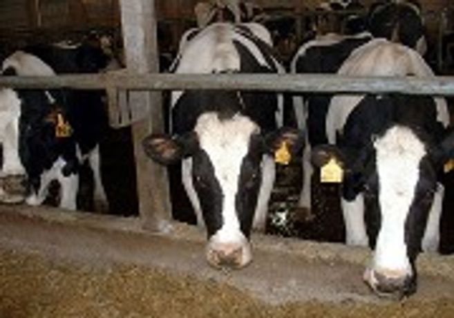 Solid removal from manure for animal farms - Agriculture - Livestock