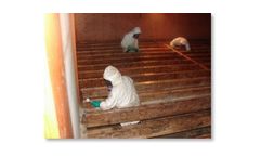 Microbial Remediation - Mold Abatement - Removal Services
