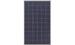 Elecssol - Model 60 Cell Series - Solar Photovoltaic Modules