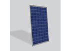 Novergy - Poly Crystalline Monocrystalline Solar Panel (72 Cells) (300Wp to 350Wp)