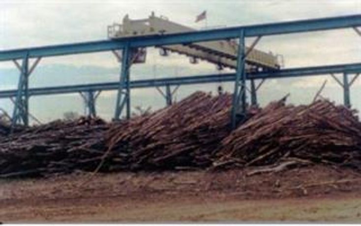 Logpro Lineal Log Crane