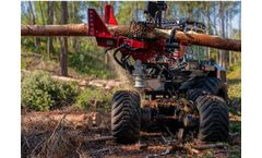 Forest Management Solutions for Damaged and Infested Forest