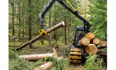 Forest Management Solutions for Continuity Forestry