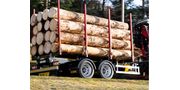 Central Axle Timber Trailer