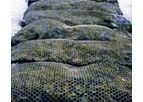 Tenax - Oyster Bags - Aquaculture Netting for Oyster Cultivation