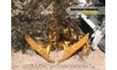 Dutchman Tree Spade - Video