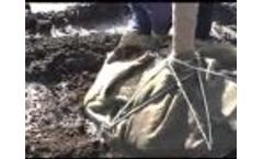 Dutchman Tree Spade Dig and Basket - Video