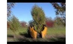 Dutchman 66 Tree Spade Loader - Video