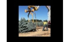 Tree Tyer - Video