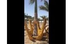 Palm Tree Spade - Video