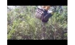 Brown Brontosaurus EVO Forestry Mower Head - Clearing Trees and Brush Video