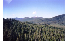 Forestland Appraisals and Consulting Services