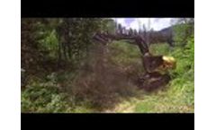 Promac HDM48 on a Tiger Cat Feller Buncher Video