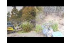 Vail X Brush Cutter Turns Cedar Tree Into Mulch Video