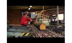 Circular Sawmill Kara Master Video