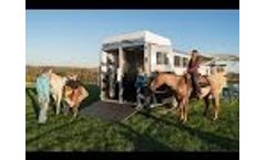 Tour the Horse Part of the Featherlite Model 9821 Living Quarters Horse Trailer Video