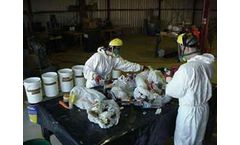 Waste Auditing Services