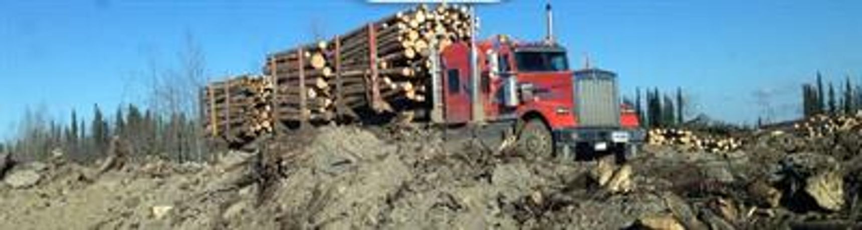 Super - Model B - Logger Forestry Trailers