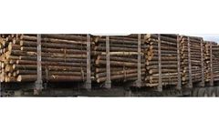 Doepker - Tridem Dropframe Logger Forestry Trailers