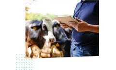 FarmWizard - Simple Dairy Herd Management Software