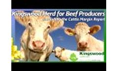 Kingswood Herd Beef Margins Video