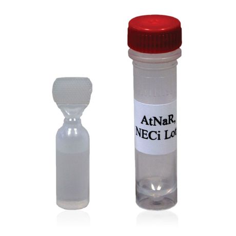 NECi - Model AtNaR - Recombinant Plant NADH Nitrate Reductase