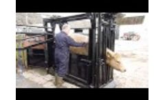 Cattle Squeeze Crush by Premier Livestock Handling - Video