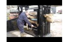 Cattle Squeeze Crush by Premier Livestock Handling - Video