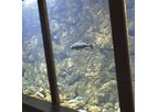 Cowex - Environmentally Safe Technics Aquarium
