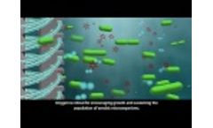 Waterloo Emitter Enhanced Aerobic Bioremediation - Video