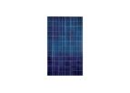 DSEPL - Model DS 310 - Polycrystalline Solar Modules