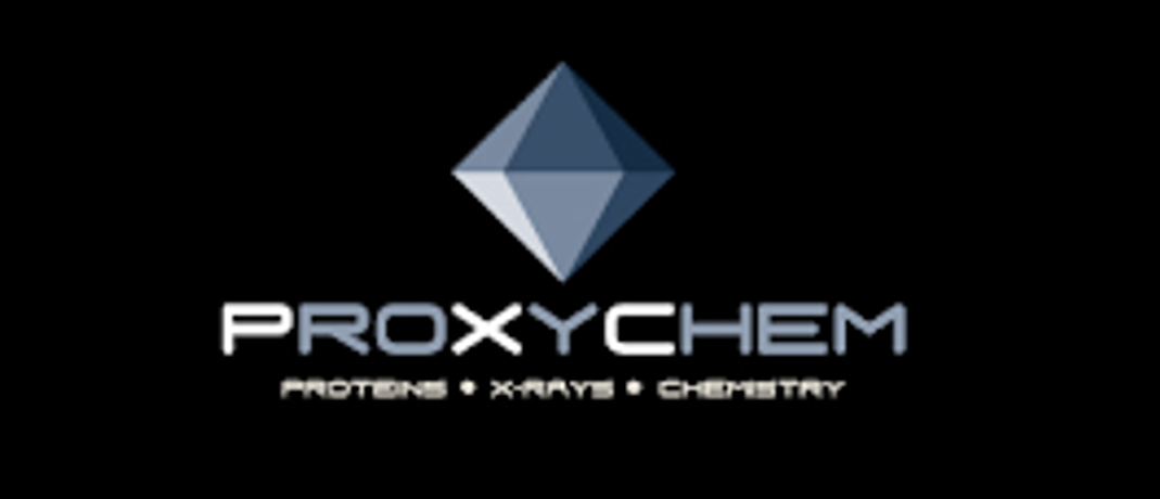 ProXyChem - Consulting Services