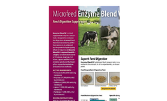 Feed Supplement Enzymes Enhanc Brochure