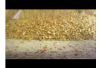 EBM Manufacturing Aspirator - Corn Cleaning Video