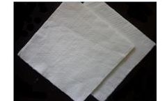 Taian-Eastar - Staple fiber Needle Punched Nonwoven Geotextile