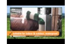 SCHURR cow-brush 2-brush-system type C12 Video