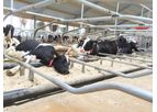 Cowhouse - Optimal Barn Equipment