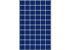 Solaico - Model 24 Voltios - SL 606 250/255/260/265/275 WP - Photovoltaic Solar Modules
