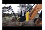 Holt Tree Spades Video