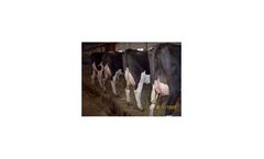 CoPulsation - Conventional Milking Systems