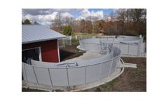 Curved Cattle Handling System
