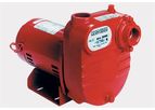 Red Lion - Cast Iron Surface Effluent Pumps