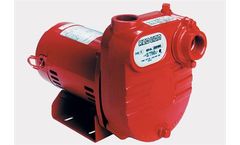 Red Lion - Cast Iron Surface Effluent Pumps