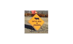 Nifty - Cattle Drive Signs