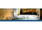 Mould Assessment and Water Damage Services
