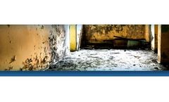 Mould Assessment and Water Damage Services